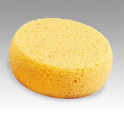 Foam Hydra Sponge Applicator