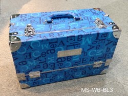 Professional Makeup Case (MS-WB-BL2)