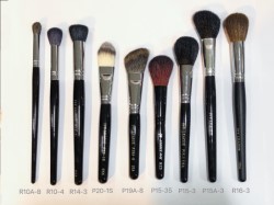 Ivy League Professional Brush Set