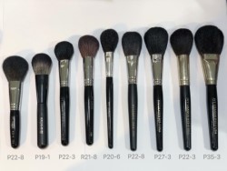 Ivy League Professional Brush Set