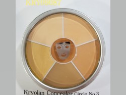 Kryolan Color Circle-Correction