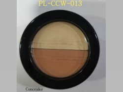 PL Concealer