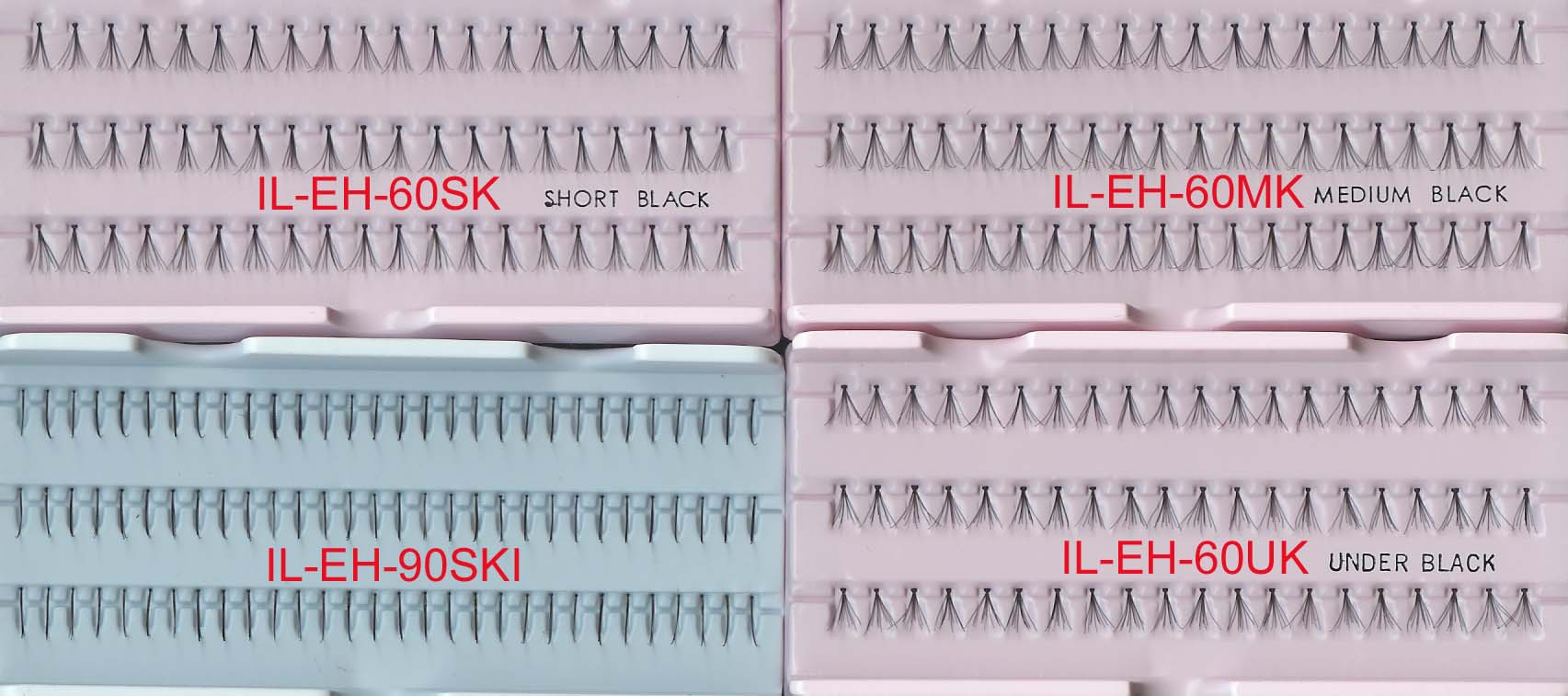 echo Indi-Lashes;